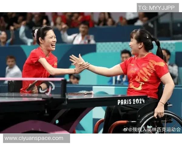 与刘静畅谈排球生涯的辉煌与挑战以及未来的展望